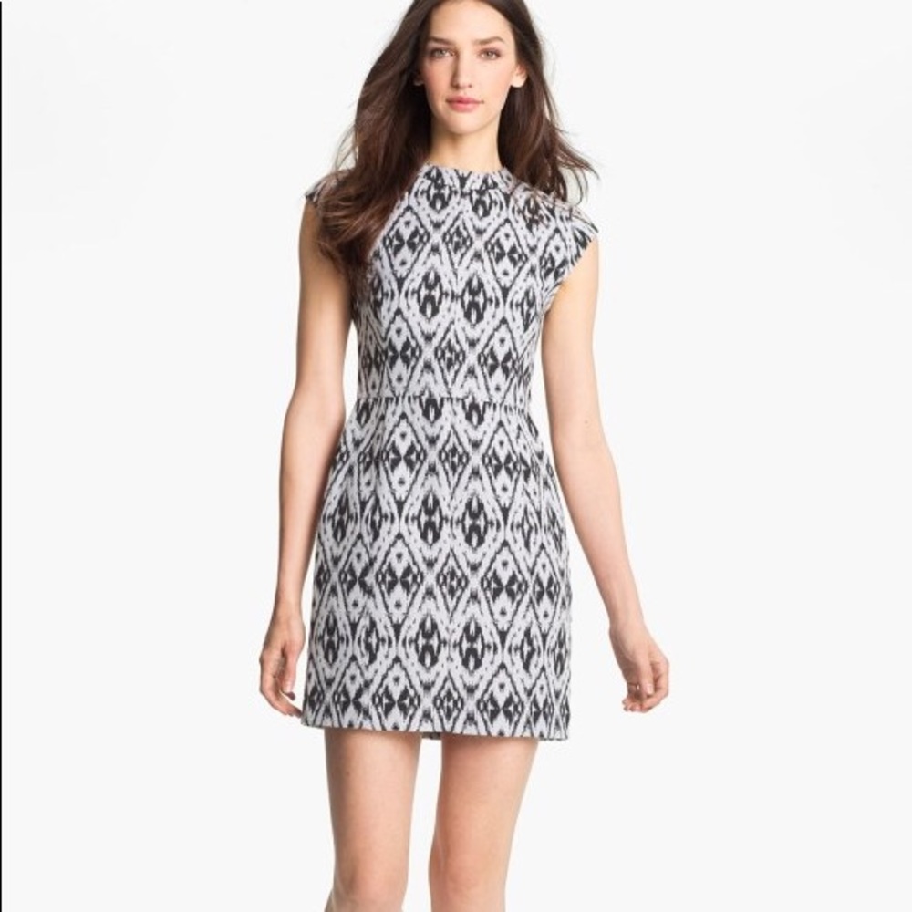 Theory Orinthia Shift Dress Andes Ikat size 00 NWT